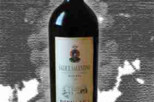 Leone de Castris Doc Salice Salentino Rosso Donna Lisa Riserva